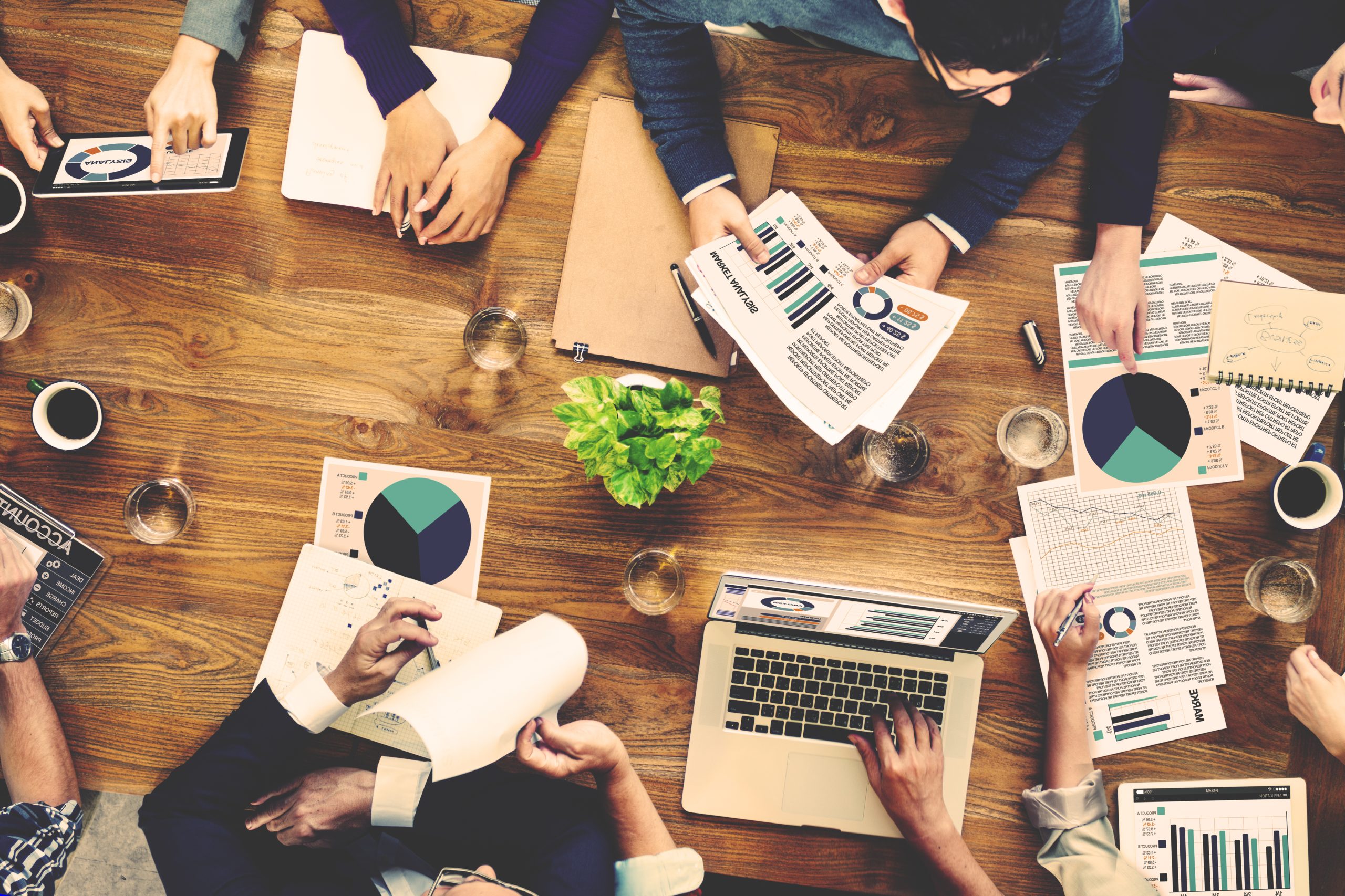 Equipo de trabajo jurídico contable | Salisky Vaena & Asociados, Estudio Jurídico Contable